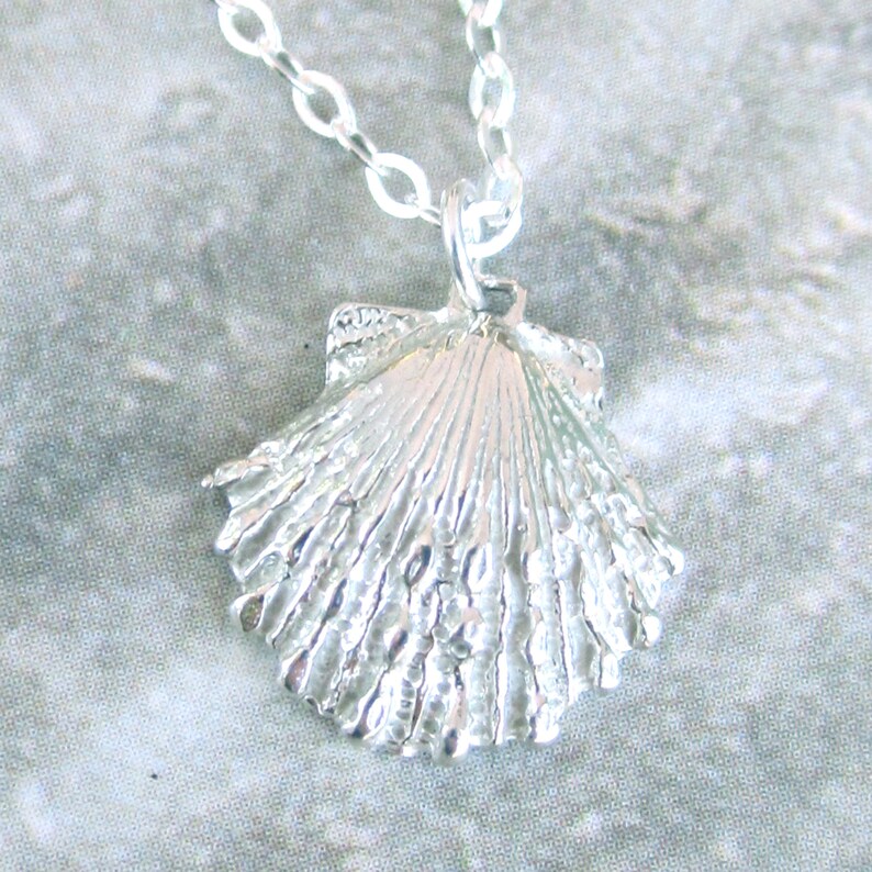 Realistic Seashell Necklace 925 Sterling Silver Very Etsy