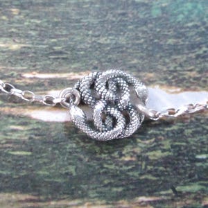May include: A silver-toned necklace featuring a detailed pendant of intertwined snakes. The snakes are intricately designed, with textured scales and visible heads. The chain is delicate, and the pendant is the focal point against a blurred background.