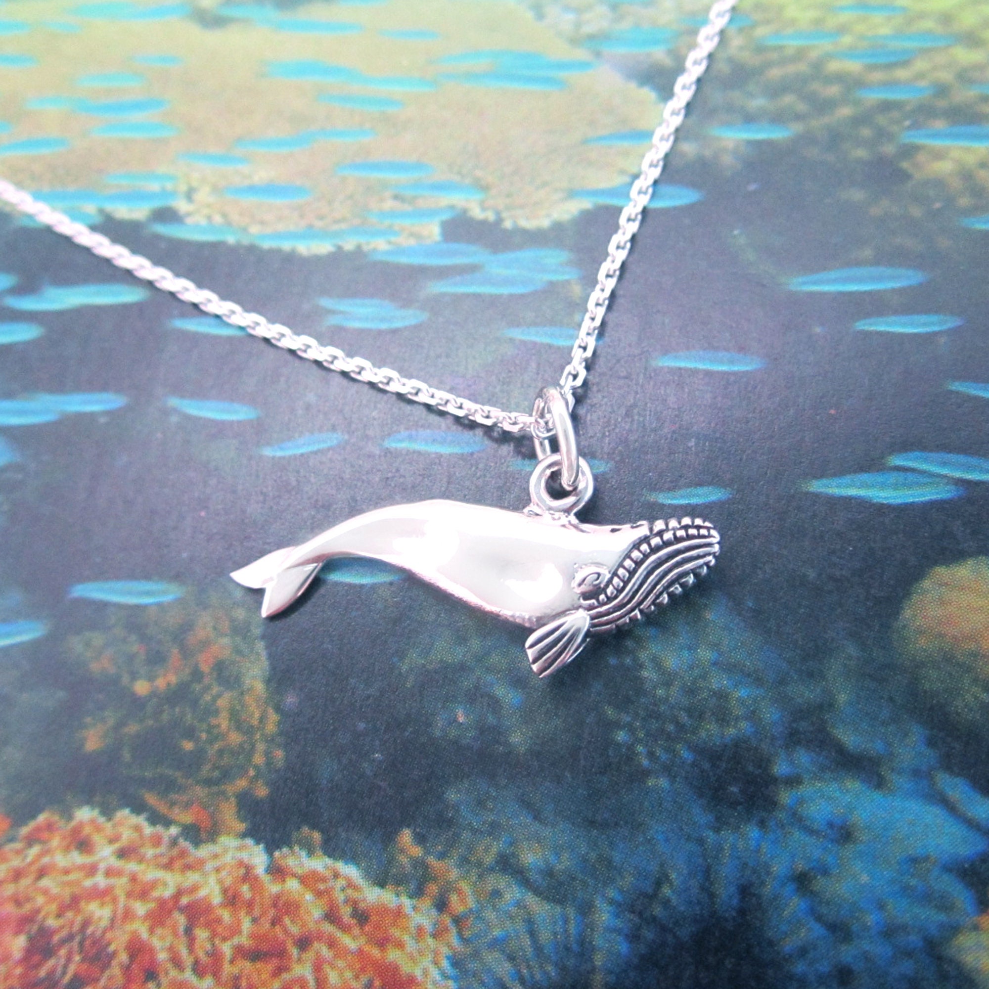 ネックレス・チョーカー BLENDOFF Humpback Whale Necklace Silver 925 Amazon.com: Sterling Silver Humpback Whale Pendant, Made in