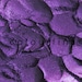 see more listings in the Purple section