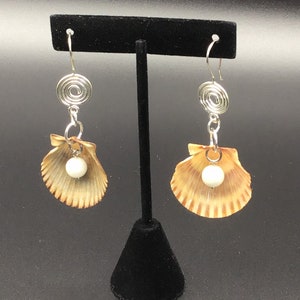 Scallop Shell Earrings