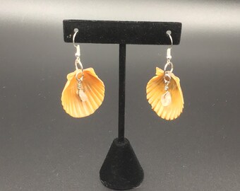 Scallop Shell Earrings