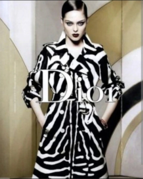 S/S 2008 Dior by John Galliano Silk Zebra Dress - Designer