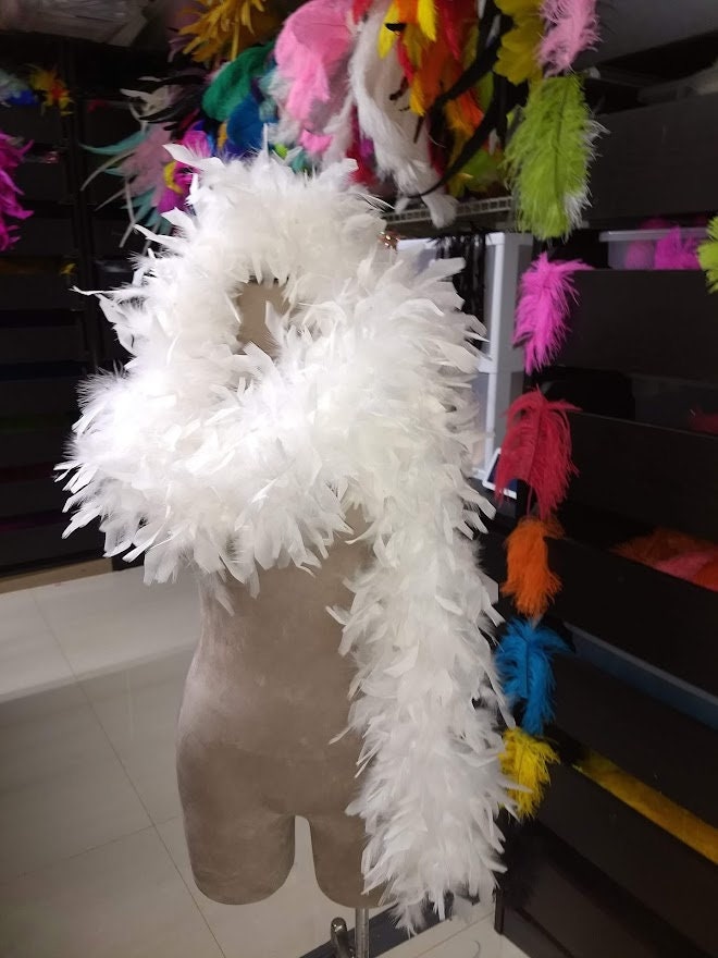Feather Boa 200cm Burlesque Showgirl Hen Night Fancy Dress Party Dance  Feather Boa Costume Wedding DIY Decoration From Busiorld, $1.81
