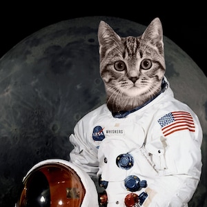 Custom Personalized Pet Astronaut Portrait