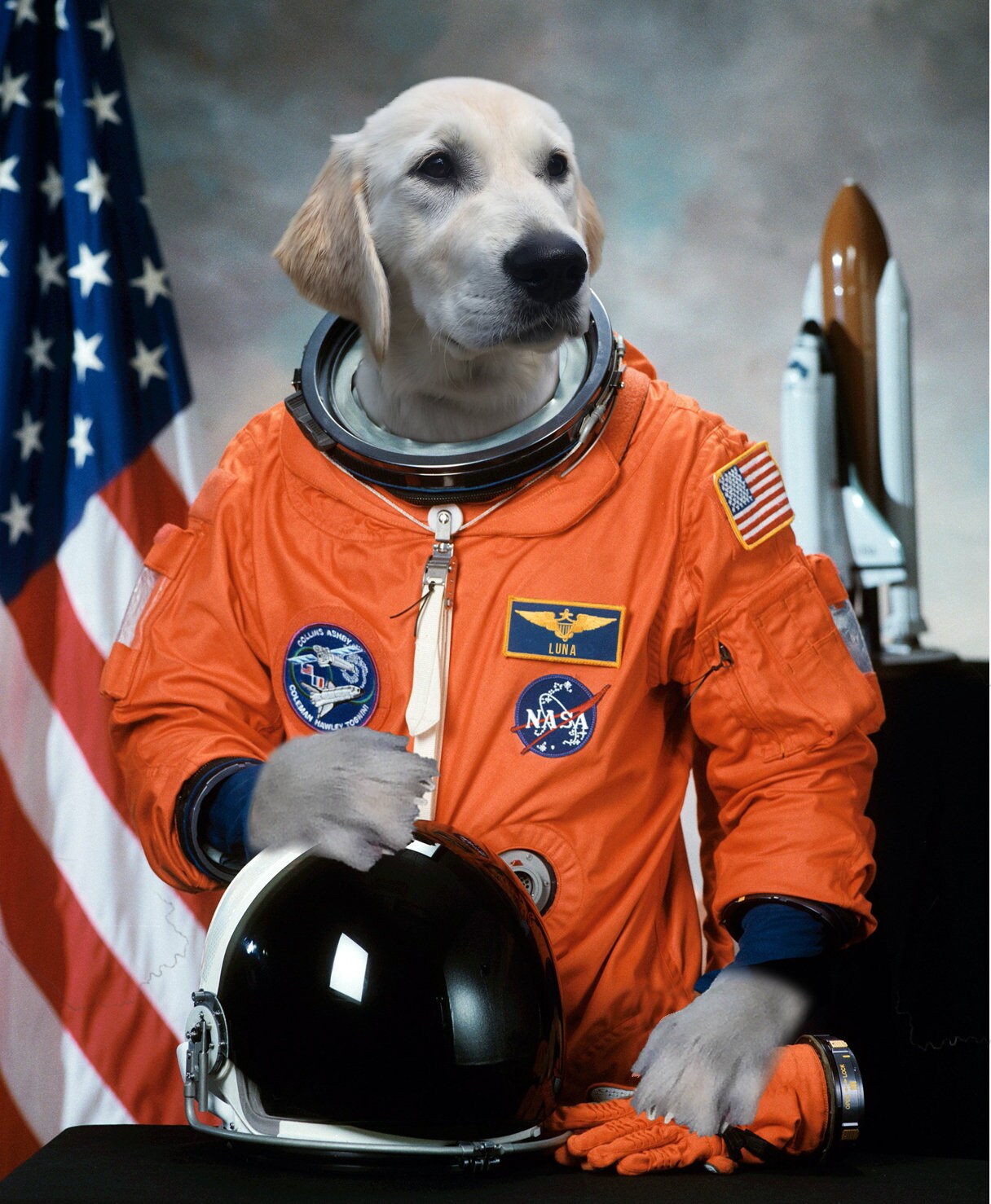 Custom Personalized Pet Astronaut Portrait Etsy