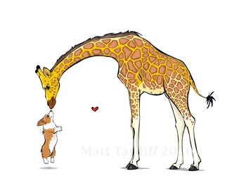 Giraffe kisses