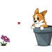 see more listings in the Flower Pot Pups section