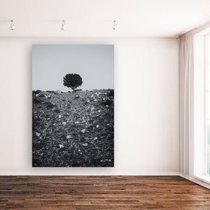 Single Tree in Black and White Print, Nature Photography, Large Wall Art
