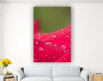 Rose Petal Wall Art with Water Drops Print - Limited Edition Macro Photography