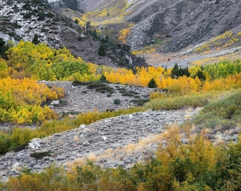 May include: A scenic landscape of a mountain valley in autumn. The image features vibrant yellow and green trees, contrasting with the gray and brown tones of the mountains and ground. The scene evokes a sense of natural beauty and seasonal change.