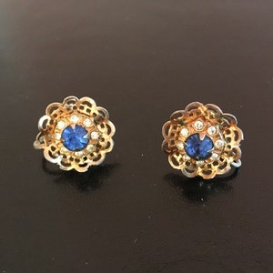 Fancy Blue Rhinestone Earrings