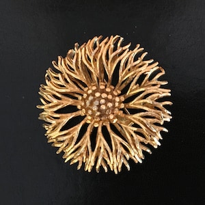 Broche de crisantemo en tono dorado Coro