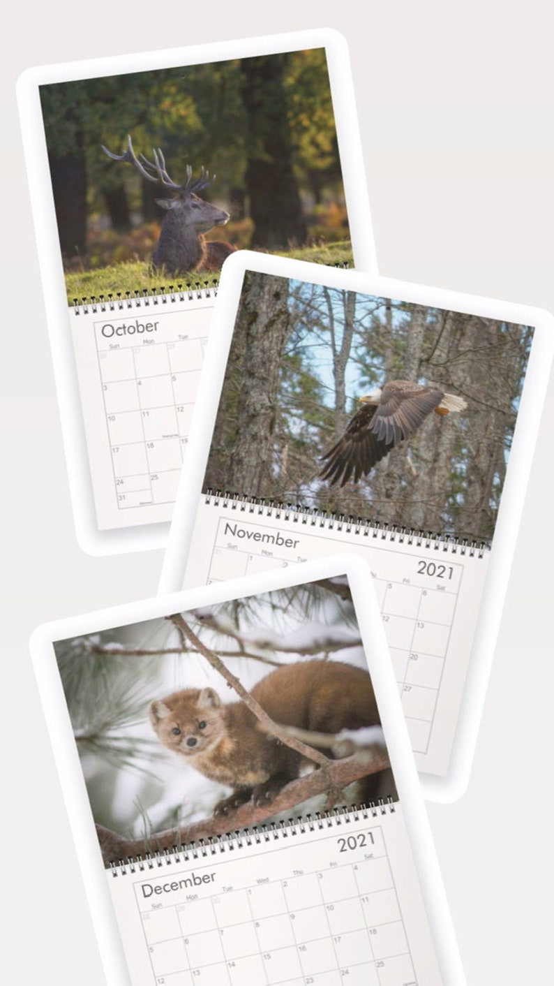 2021 Wildlife Calendar / Nature Calendar Etsy