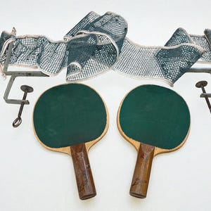 Vintage Table Tennis Ping Pong Set - pair Lion ping pong paddles, net with green brackets, old school ping pong set, midcentury table tennis