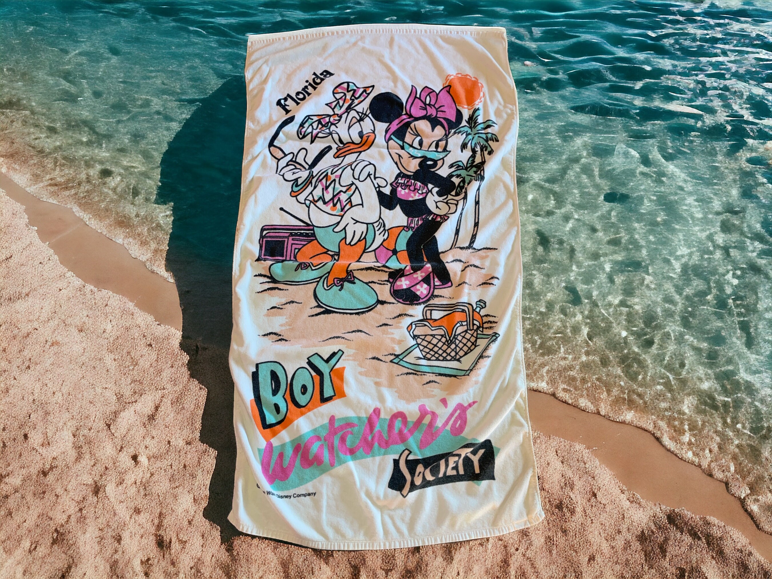 Vintage Disney Minnie Mouse and Daisy Duck Boy Watcher's Society