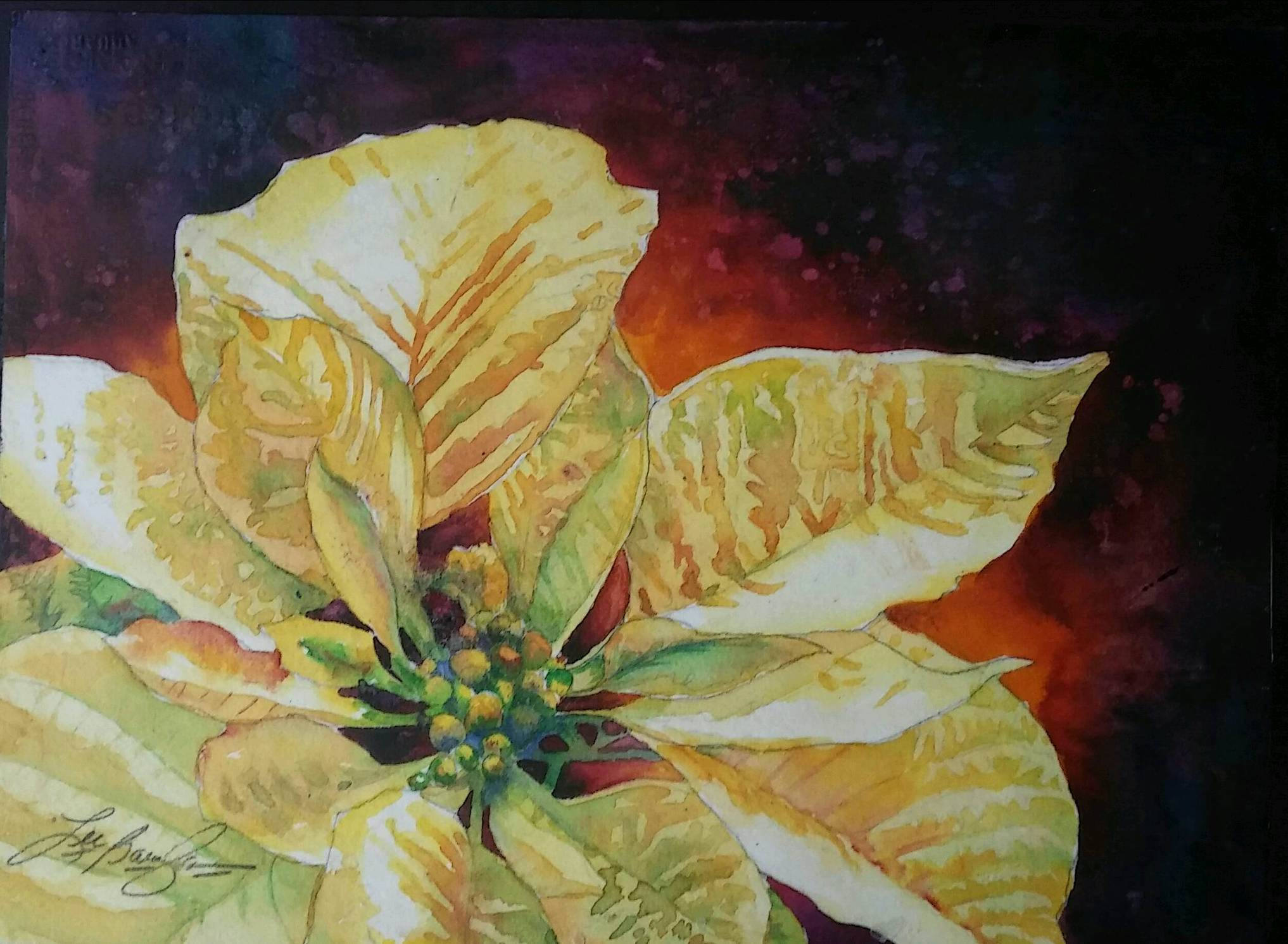 Poinsettia Original Watercolor Painting 11.5 inches by 15.5 Etsy