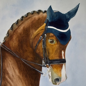 Dressage cheval peinture cheval peinture aquarelle cheval image 1