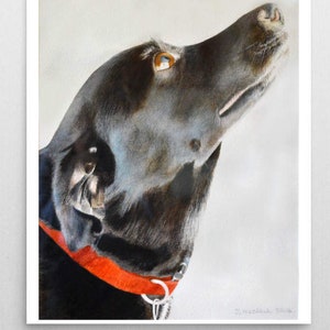 Dipinto ad acquerello di un cane Labrador nero, dipinto di un Labrador nero, poster di un Labrador nero, arte murale di un Labrador, stampa di un Labrador nero, arte di un cane, stampa di un cane.