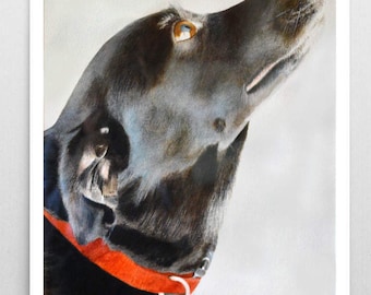 Pintura de acuarela de perro labrador negro Pintura de labrador negro Póster de labrador negro Arte de pared de labrador Impresión de labrador negro Arte de perro Impresión de perro