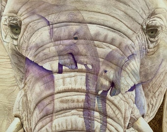 Éléphant Aquarelle Éléphant Peinture Éléphant Affiche Éléphant Mur Art Éléphant Imprimer