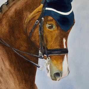 Dressage cheval peinture cheval peinture aquarelle cheval image 2