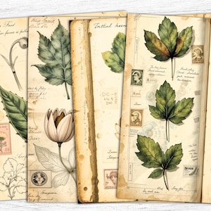 Papel de diário de ervas, folhas vintage para impressão, download digital floral, fundo de ervas de farmácia, papel digital de folhas antigas, uso comercial