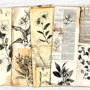 Botanical Junk Journal Papers, Diario botanico, Carta digitale botanica, Carta floreale con erbe aromatiche, Effimere di giornali d'epoca, Collage digitale