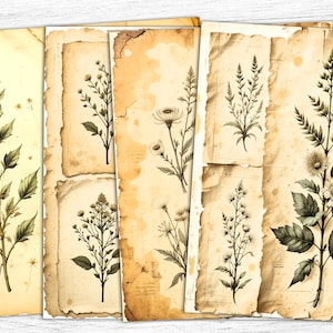 Papiers pour carnet de notes botaniques à base de plantes, botanique vintage, feuilles florales, papier à base de plantes, botanique imprimable, téléchargement numérique, papiers à feuilles