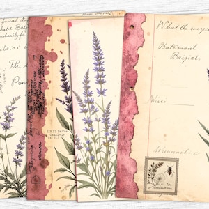 Papéis de diário vintage de lavanda, fundo de flores secas, papéis de lavanda, uso comercial, impressão vintage, download digital