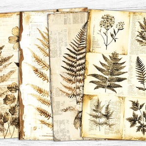 Botanische ongewenste dagboekpapieren, vintage papier, vintage bloemen, kruidenpapier, kruidenpapier, botanische achtergrond, afdrukbaar botanisch, collageblad