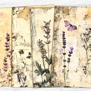 Papiers de journal botanique indésirable, éphémères botaniques, botanique vintage, papier de fines herbes, fond vintage, impression botanique, pages de journal de fines herbes