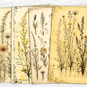 Papier pour journal indésirable lavande vintage, lavande vintage imprimable, botanique imprimable, art lavande vintage, téléchargement numérique, usage commercial