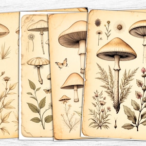 Papiers vintage champignon indésirable, papier numérique papillon, téléchargement numérique, botanique vintage, papillon vintage, pages botaniques
