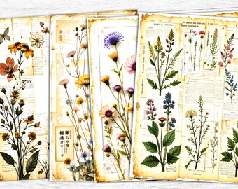 Vintage Botanical Collage Sheet: Junk Journal Ephemera (Digital Download)