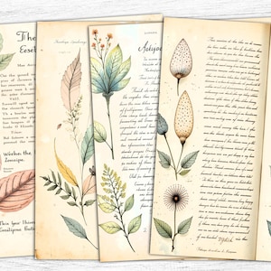 Carta da giornale vintage con erbe aromatiche, carta stampabile botanica, carta digitale per manoscritti, sfondo boho, pagine di copertina per libri, carta stampata boho