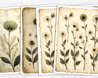 Botanical Junk Journal Paper: Vintage Floral Prints (Digital Download)