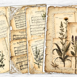 Collage de flores secas, papel de diario basura, encaje botánico vintage, flores secas imprimibles, descarga digital, imprimible botánico