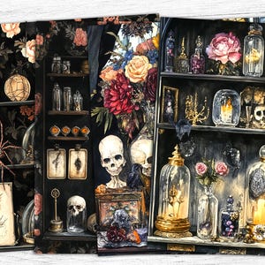 May include: A dark, gothic-themed shelf with various items, including skulls, candles, flowers, and glass jars. The shelf is decorated with a black and white floral pattern.
