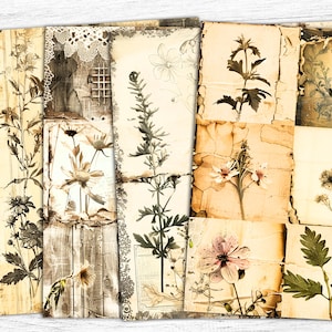 Papel de diário de lixo botânico, fundo botânico, papel de flores secas, imprimível de ervas, download digital, impressão de flores, flores silvestres secas