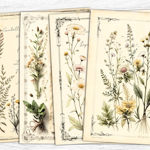 Carta da giornale vintage con erbe aromatiche, pagine botaniche, stampe floreali, arte botanica, download digitale, uso commerciale, pagine floreali