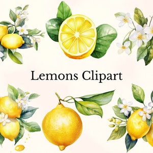Aquarel citroenen clipart, frisse zomer clipart, citroen bloem clipart, citroenen illustratie, aquarel citrusbloemen, commercieel gebruik