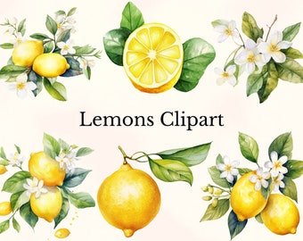 Watercolor Lemons Clipart, Fresh Summer Clipart, Lemon Flower Clipart, Lemons Illustration, Watercolor Citrus Flowers, Commercial Use