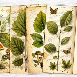 Carta da giornale "Giardino Botanico", carta digitale a tema farfalle, pagine vintage di erbe aromatiche, stampabile sul giardino, pagine di manoscritti, uso commerciale