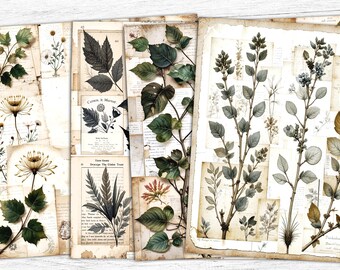 Vintage Botanical Collage Sheet: Junk Journal Ephemera (Digital Download)