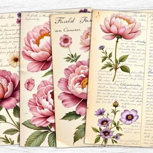 May include: A collection of vintage-style paper sheets featuring watercolor illustrations of pink peonies and other flowers. The sheets have handwritten text and a faded, aged appearance, creating a romantic and nostalgic aesthetic.
