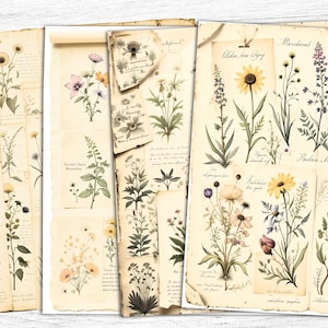 Papel de diário de flores da primavera, arte de ervas vintage, impressão botânica de ervas, impressão botânica vintage, download digital, uso comercial