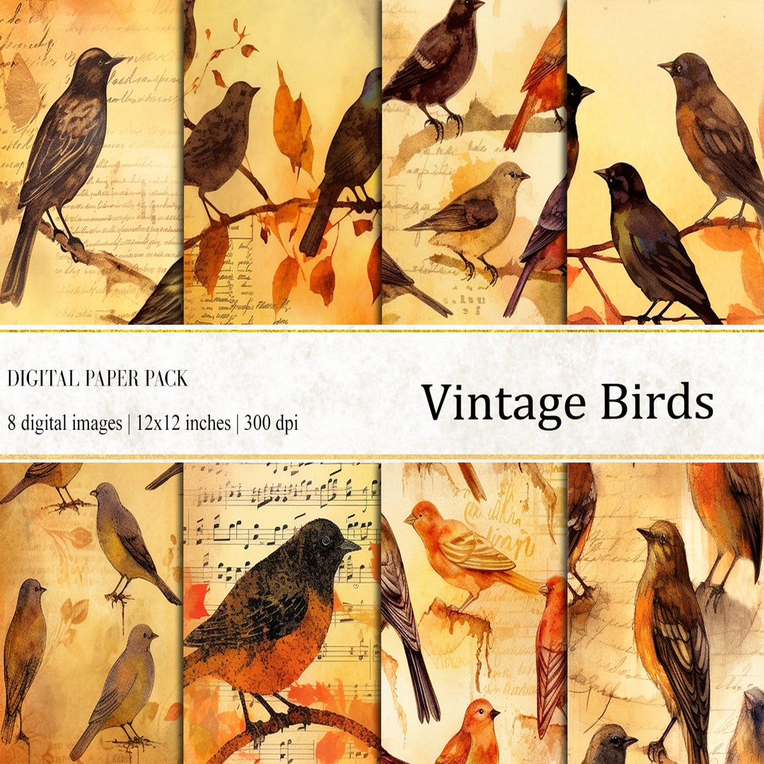 Vintage Birds Digital Paper Pack, Scrapbook & Journal (digital Download ...