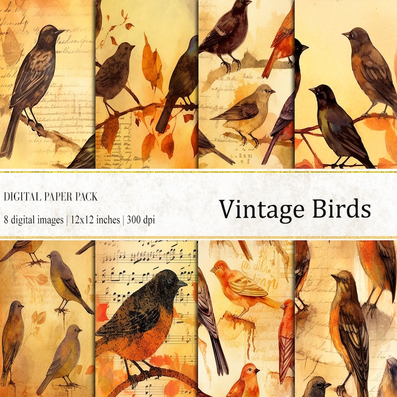 Vintage Birds Digital Paper Pack, Scrapbook & Journal (digital Download ...