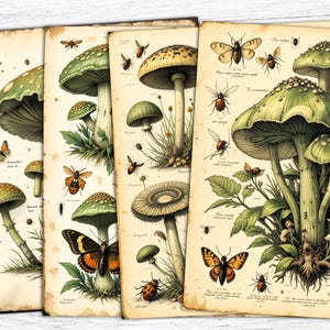 Papiers vintage pour journal indésirable aux champignons, papier numérique champignon, téléchargement numérique, botanique vert, papillon vintage, art botanique en papier
